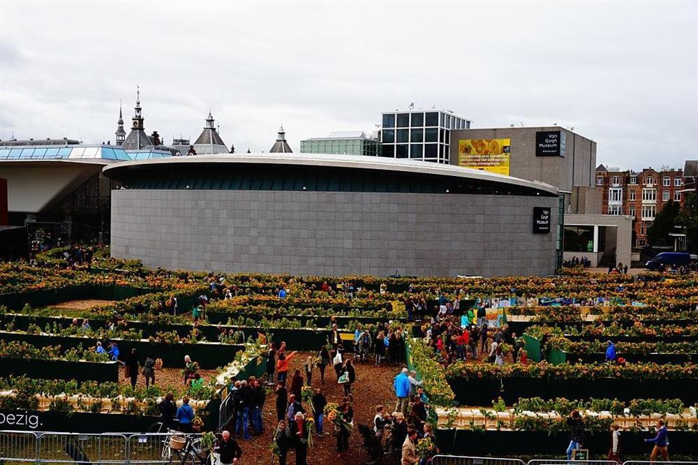 Mê cung hoa hướng dương đẹp xiêu lòng trước bảo tàng Van Gogh ở Hà Lan-7