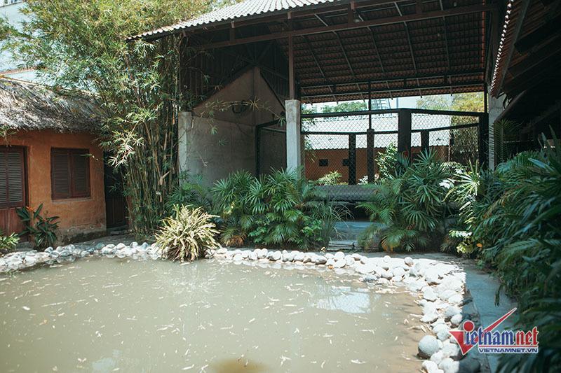 Rời showbiz, Johnny Trí Nguyễn sống bình yên trong võ đường rộng 1800m2-7