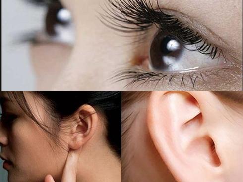 Nhân tướng học chỉ ra tướng đàn ông vũ phu, đừng vì yêu mà mê muội lấy về-4