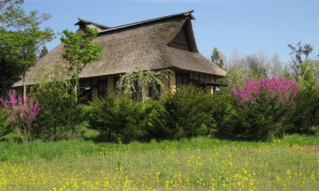 Tono (Nhật Bản): Thị trấn nằm ở tỉnh Iwate trên đảo Honshu được mệnh danh là “Thị trấn truyện dân gian” nhờ cảnh thôn dã xinh xắn, truyền thống văn hóa đặc sắc và những truyện cổ của nhà văn Kunio Yanagita. Khung cảnh đẹp như tranh vẽ của Tono khiến du khách như lạc vào trong truyện. Ảnh: ANA.