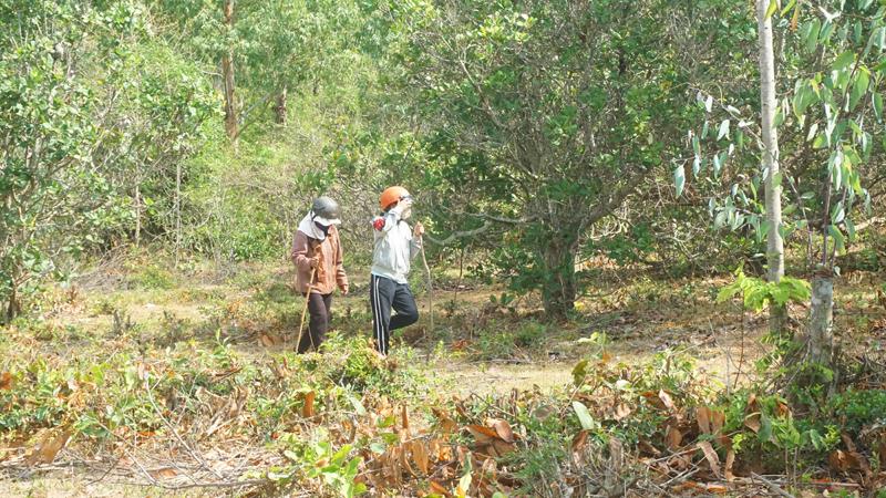 Dân nườm nượp tìm tiền, vàng sau vụ bắt sòng bạc khủng ở Gia Lai-3