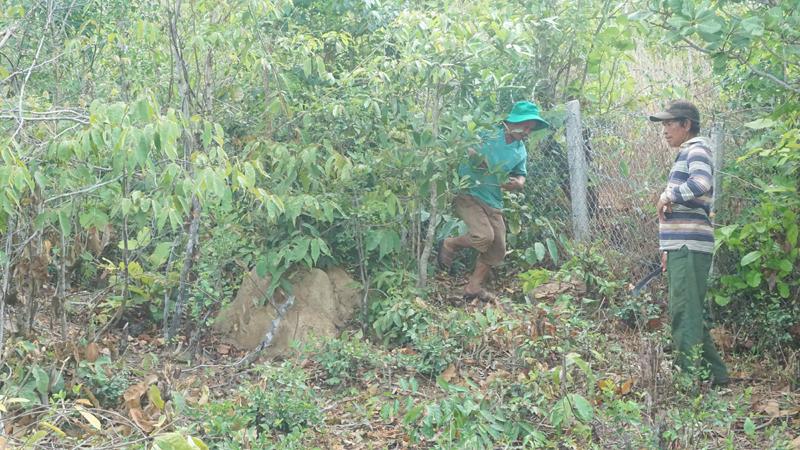 Dân nườm nượp tìm tiền, vàng sau vụ bắt sòng bạc khủng ở Gia Lai-4