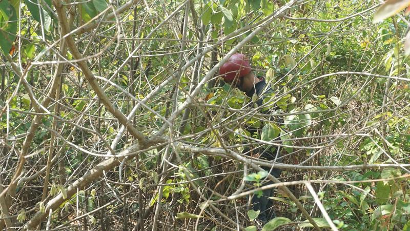 Dân nườm nượp tìm tiền, vàng sau vụ bắt sòng bạc khủng ở Gia Lai-5