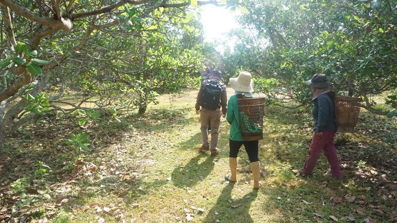 Dân nườm nượp tìm tiền, vàng sau vụ bắt sòng bạc khủng ở Gia Lai-6