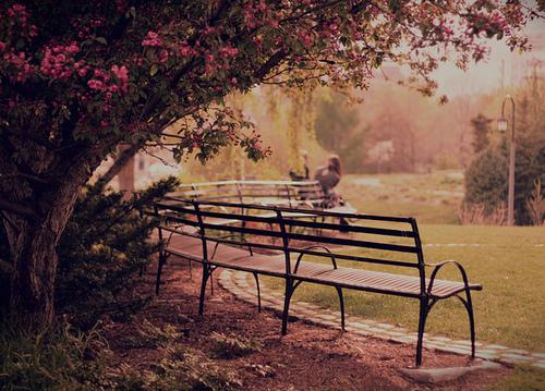 Tử vi thứ Ba ngày 2/4/2019 của 12 con giáp: Dần chào đón nhiều điều bất ngờ, Thìn không nên sa đà mua sắm-3