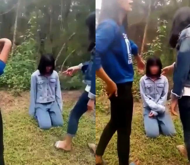 Nữ sinh cầm đầu vụ bạo lực bạn ở Nghệ An có tiếng ngoan ngoãn, chuẩn bị thi học sinh giỏi tỉnh-1
