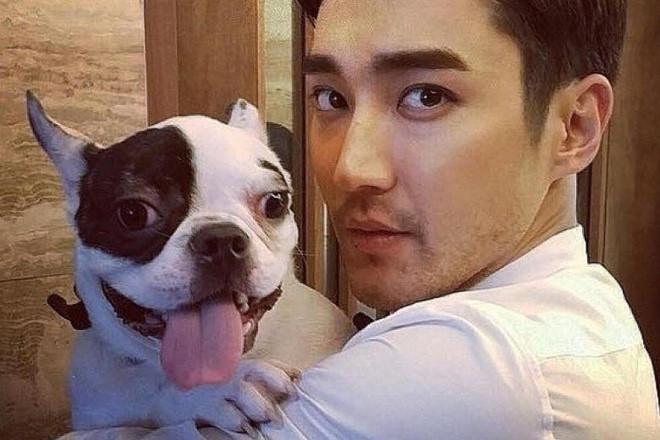 Choi Siwon cúi đầu xin lỗi sau 2 năm vụ chó cưng cắn chết người-2