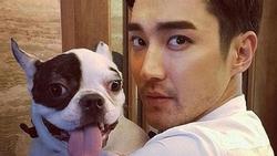 Choi Siwon cúi đầu xin lỗi sau 2 năm vụ chó cưng cắn chết người