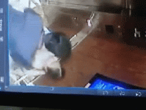 Clip gây phẫn nộ: Người đàn ông sàm sỡ, ôm hôn bé gái trong thang máy ở Sài Gòn