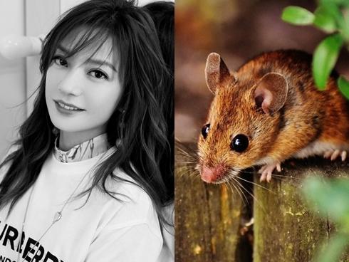 5 ngày tới: 3 con giáp này hưởng lộc trời cho, giàu có bất ngờ, tiền tỷ trong tay