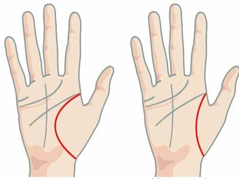 5 nét tướng là LỖ CHÔN TIỀN trên mặt phụ nữ, nhìn 1 giây là biết tiền sắp ập về nhà-3