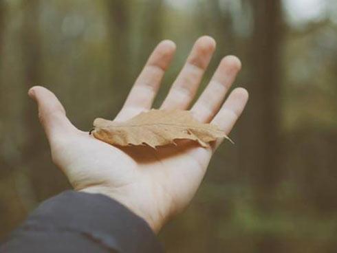 Tử vi tuần mới của 12 con giáp từ 15/4/2019 - 21/4/2019: Dần may mắn đủ đường, Hợi tiền bạc thất thoát