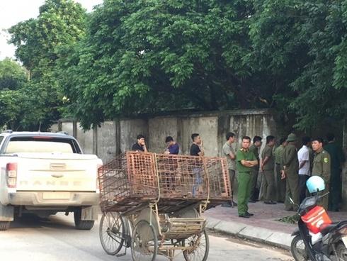 Bắt giữ đàn chó cắn chết bé trai 7 tuổi ở Hưng Yên