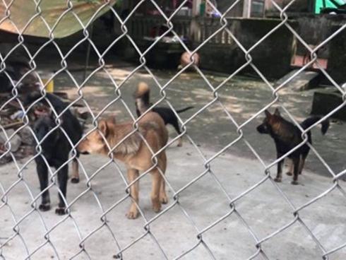 Nhức nhối trong tuần: Bạn gái kẻ đâm chết người chỉ vì bị nhắc vượt đèn đỏ có mặt ở đám tang vì mục đích gì?-6