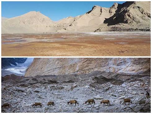 Cụm hang động có vô số tranh, tượng Phật tồn tại 22 thế kỷ ở Sri Lanka-1