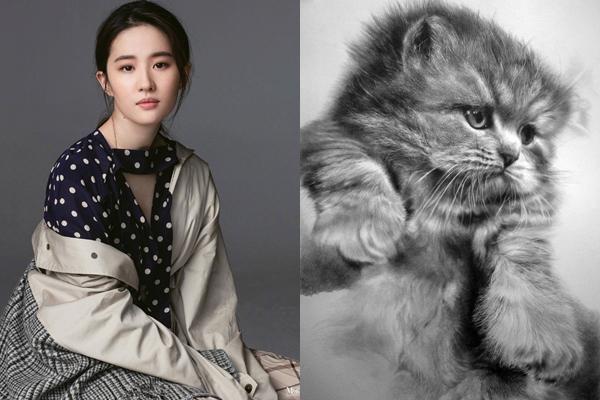 7 ngày tới: 3 con giáp dễ gặp họa phá tài, tiền trong túi không cánh mà bay-4