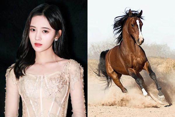 7 ngày tới: 3 con giáp dễ gặp họa phá tài, tiền trong túi không cánh mà bay-3