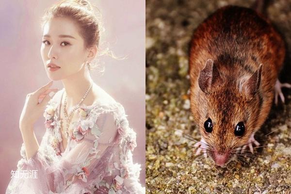 5 ngày tới: 3 con giáp liên tục trúng độc đắc, phúc lộc đầy nhà, tiền cứ vơi lại có-2