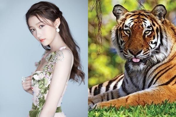 Tháng 4/2019: Chỉ mặt 3 con giáp CHUẨN CON CƯNG Thần Tài, dễ dàng trở thành thành đại gia khét tiếng-1