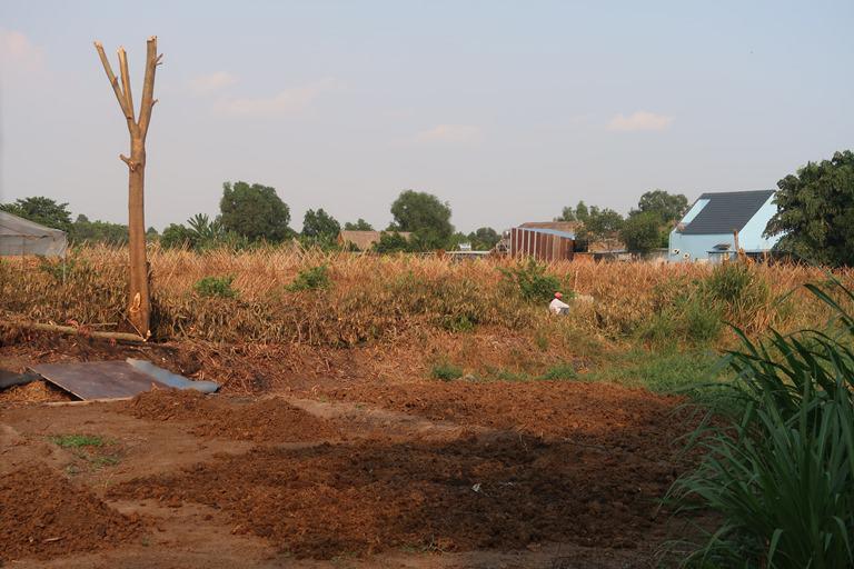 TP.HCM: Nghi án bé gái 7 tuổi qua nhà hàng xóm xin mật khẩu wifi bị chủ nhà xâm hại-2