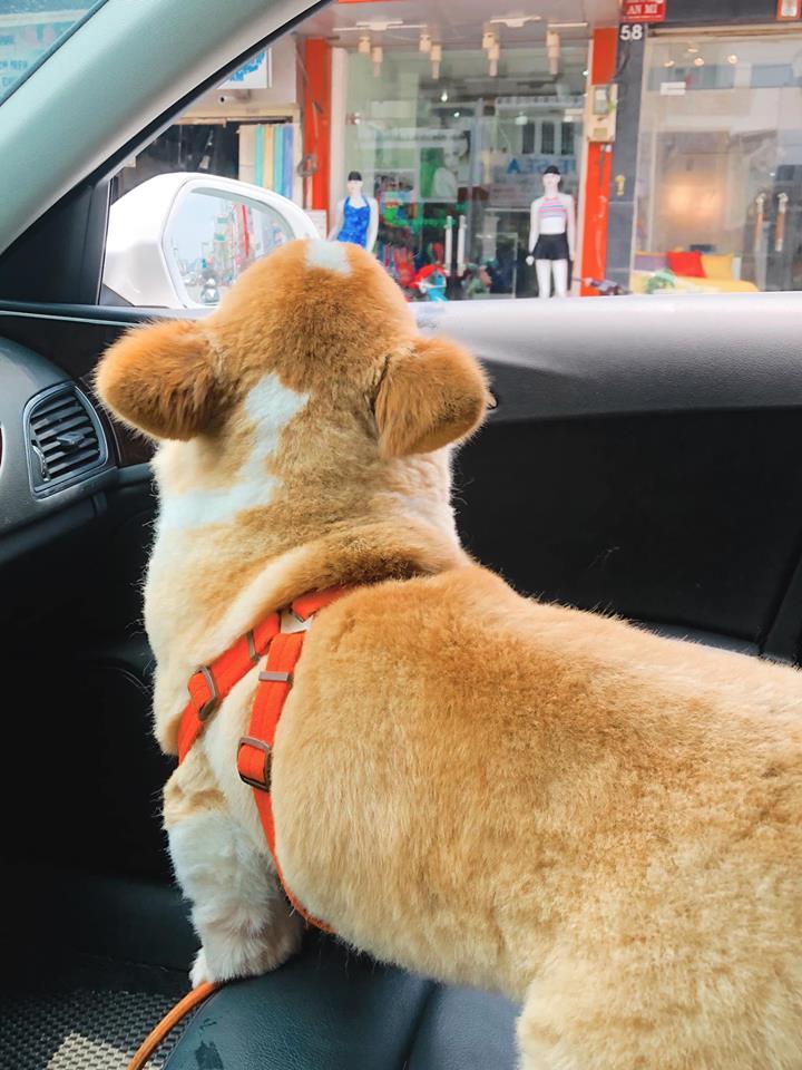 Em trai Phan Thành đau khổ vì tình, chị dâu hụt lại khoe nhận bó hoa to bự khiến dân tình mệt đầu đoán người tặng-9