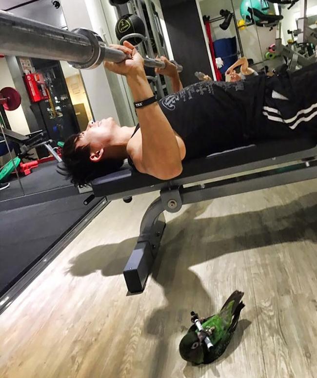 Chùm ảnh vui về thời trang (P2): 1001 tình huống bi hài ở phòng tập gym-13