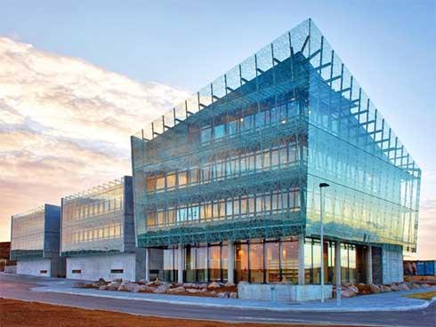 Vì sao Iceland là 'vùng đất chết' của loài muỗi