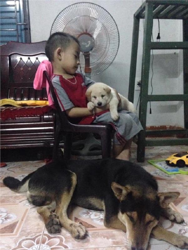 Chú chó rơi nước mắt khi được chủ thắp nến tổ chức sinh nhật khiến ai nấy đều rưng rưng-4