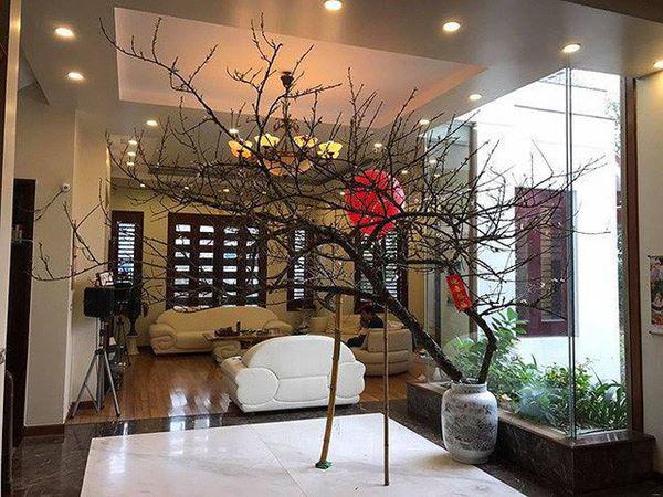 Vừa đăng quang đã vội lấy chồng, Á Hậu Trà My lộ nhà khủng trên phố nhà giàu nức tiếng-6