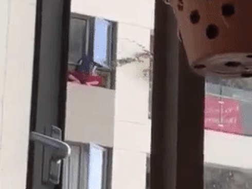 CLIP: Thất kinh nhìn người phụ nữ trèo hẳn ra ngoài cửa sổ chung cư cao tầng lau kính thoăn thoắt như 'Người nhện'