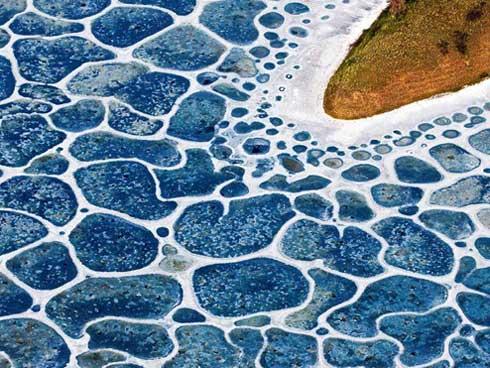 Hồ nước loang lổ kỳ quái, khiến người sợ lỗ nổi da gà