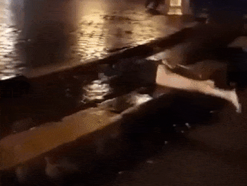 CLIP KINH SỢ: Cô gái nghi ngáo đá, lột đồ 'bơi như cá' giữa quảng trường