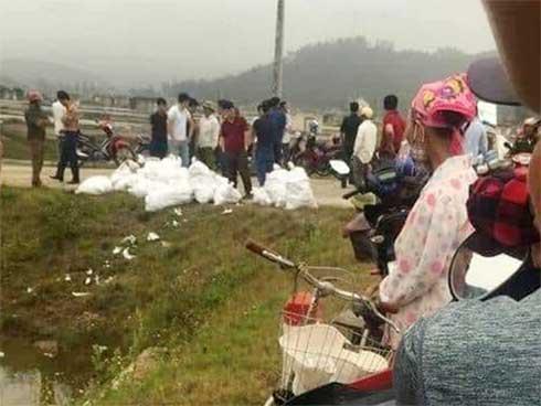 Vụ bắt 3 đối tượng, 700kg ma túy đá: Đối tượng người nước ngoài cầm đầu-5