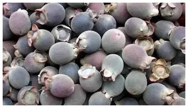 Loại quả mọc dại ở Việt Nam được ví như kho báu ở Trung Quốc-4