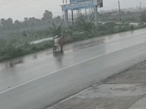 Đang đi, xe khách quay 180 độ như phim hành động Mỹ làm CSGT chạy 'té khói'