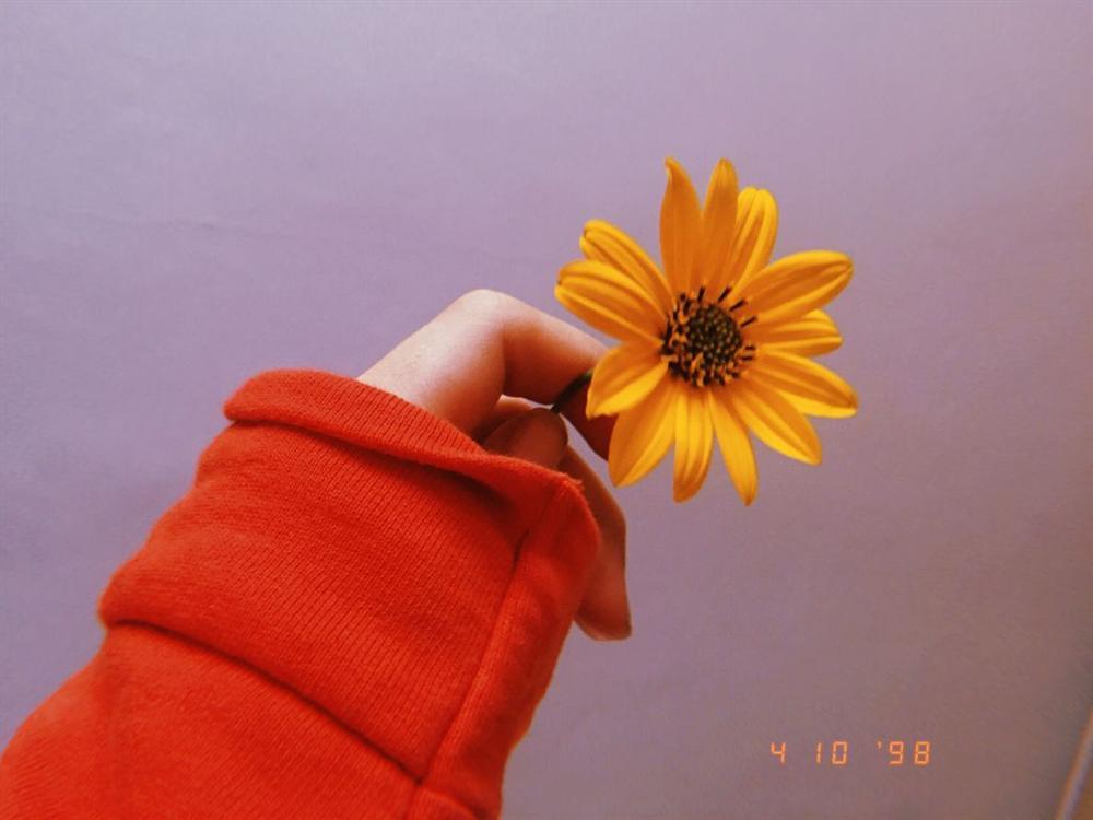 Tử vi thứ Bảy ngày 20/4/2019 của 12 con giáp: Mùi được quý nhân phù trợ, Thân dễ sai sót nghiêm trọng-4