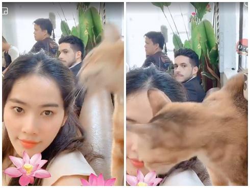 Thơ thẩn chơi đùa với thú cưng, Nam Em vô tình để lộ bạn trai chính là soái ca của 'Người ấy là ai'?