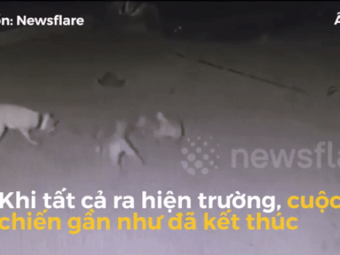 Clip ấn tượng: Màn tỷ thí đu xà đơn cực ngầu giữa cụ ông với nam thanh niên và cái kết đầy bất ngờ-1