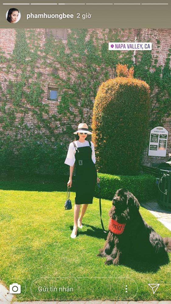 Sau gương mặt khác lạ và vòng 1 khủng như vừa mới sinh con, Phạm Hương lại bị soi cánh tay gầy như que củi-1