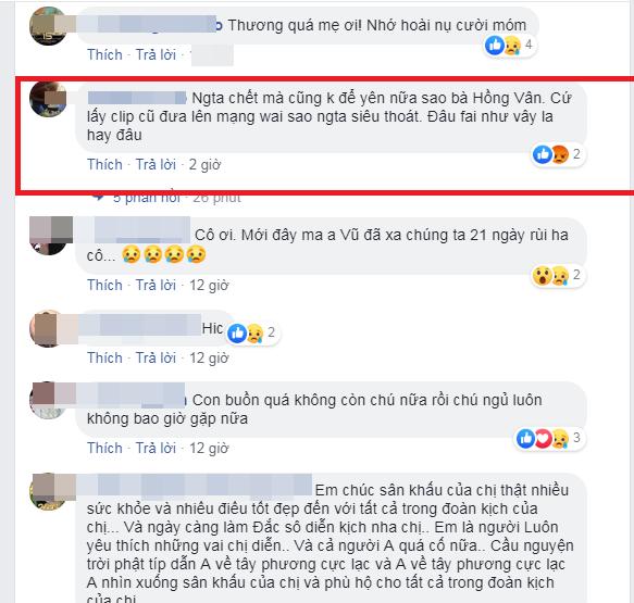 Chia sẻ clip chơi đàn vui nhộn của cố nghệ sĩ Anh Vũ trước khi qua đời, NSND Hồng Vân phải đối mặt với phản ứng trái chiều-4