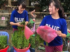 Đầu tuần, cô bé bán rau rừng 'duyên ơi là duyên' khiến dân mạng xôn xao tìm danh tính Đầu tuần, cô bé bán rau rừng 'duyên ơi là duyên' khiến dân mạng xôn xao tìm danh tính