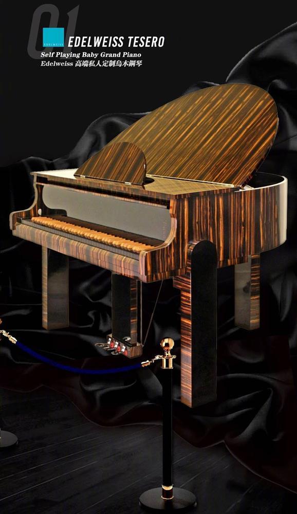 Đừng dạy fangirl cách tiêu tiền, ra mà xem fan Đại Lục tặng đàn piano 4 tỷ đồng cho Chanyeol (EXO) kia kìa-2