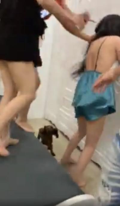 Lại thêm vụ ĐÁNH GHEN gay cấn như PHIM HÀNH ĐỘNG, chồng kéo lê vợ về nhà để bảo vệ bồ nhí-3