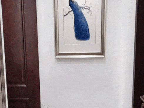 Clip: Chết cười xem ông bố giúp con thực hiện ước mơ làm siêu nhân nhện-1