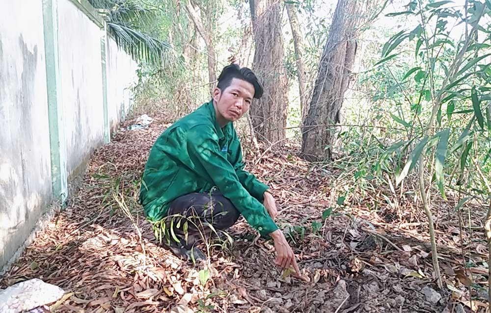 300 thai nhi bị bỏ theo rác: Chủ tịch Cà Mau chỉ đạo kiểm tra các bệnh viện-2