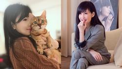 Châu Huệ Mẫn: 'Tôi thà sống với 20 con mèo còn hơn sinh một đứa trẻ'