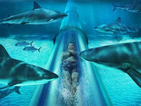 6 món ăn dát vàng cho giới thượng lưu tại Dubai-7