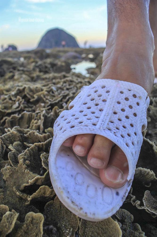 Ngỡ ngàng trước vẻ đẹp của vườn hoa san hô lộ thiên ở Phú Yên-8