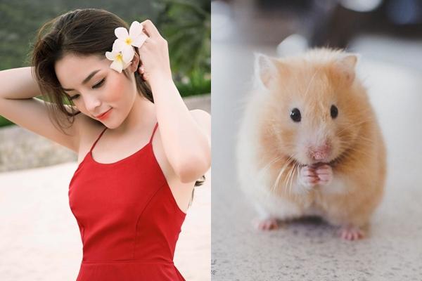 3 con giáp vượng vận quý nhân, gặp dữ hóa lành, thành công rực rỡ nhất tháng 5/2019-1