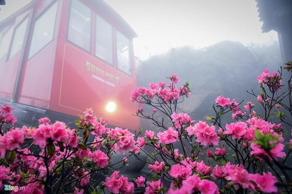 Du khách tận hưởng giá lạnh 13 độ C giữa kỳ nghỉ lễ ở Sa Pa-2